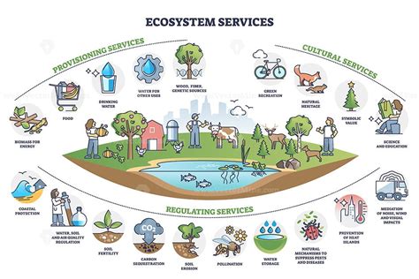 ecosystem services ecosystem services PDF