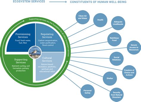 ecosystem services ecosystem services PDF