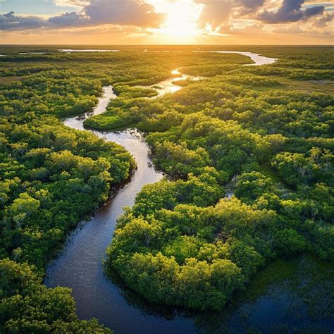 ecosystems of florida PDF