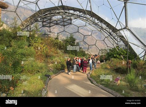 eden project the guide PDF