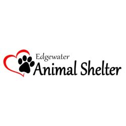 edgewater animal shelter edgewater fl