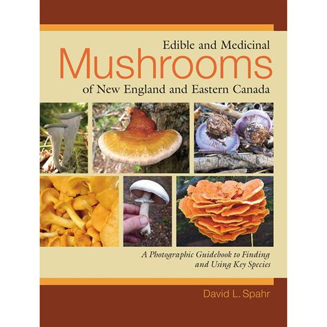 edible and medicinal mushrooms of new england and eastern canada Doc