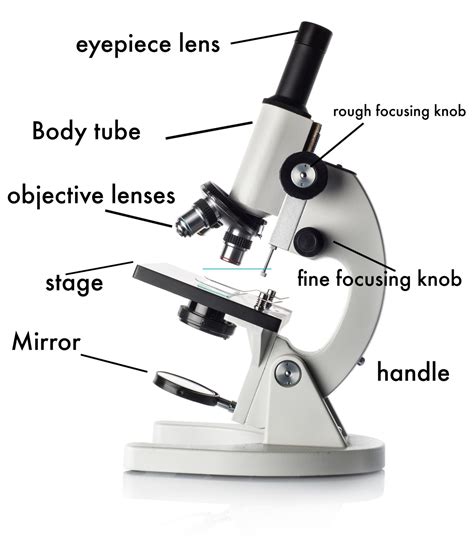 edu science microscope manual Doc