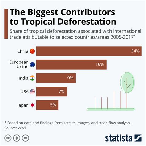 Effects Of Deforestation Chart