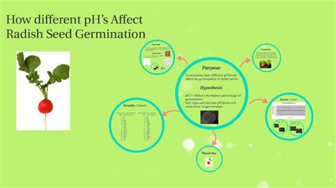 effects of ph on radish seed germination Reader