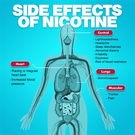 effects of too much nicotine in your body