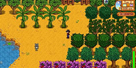 efficient sap farm stardew