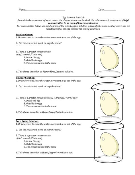 egg-osmosis-lab-answer-key Ebook Kindle Editon