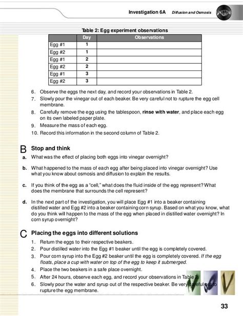 egg-osmosis-lab-answer-key Ebook Kindle Editon