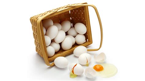 eggs all in one basket