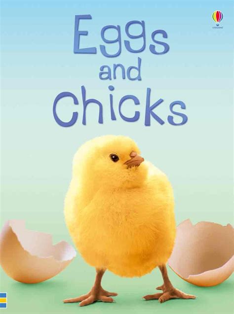 eggs and chicks beginners nature level 1 Doc