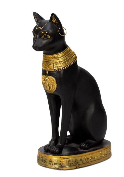 egyptian black cat