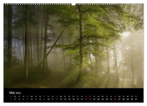 eindr cke wald wandkalender 2016 quer Doc