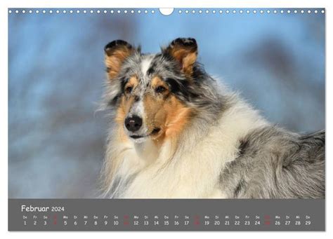 einmal wandkalender 2016 quer monatskalender PDF