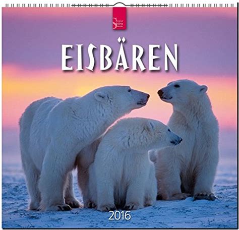 eisb ren 2016 st rtz kalender mittelformat kalender spiralbindung PDF