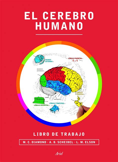 el cerebro humano libro de trabajo ariel PDF