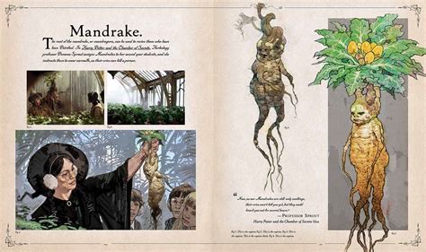 el gran libro de las criaturas de harry potter comic usa PDF