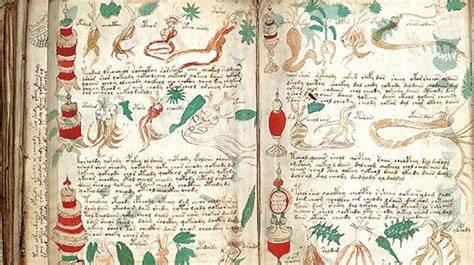 el manuscrito voynich Kindle Editon