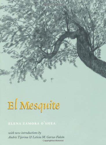 el mesquite a story of the early spanish settlements between the nueces and the rio grande rio grande or rio bravo Kindle Editon