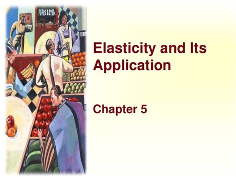 elasticity and its application aplia answers Doc