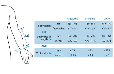 elbow circumference range