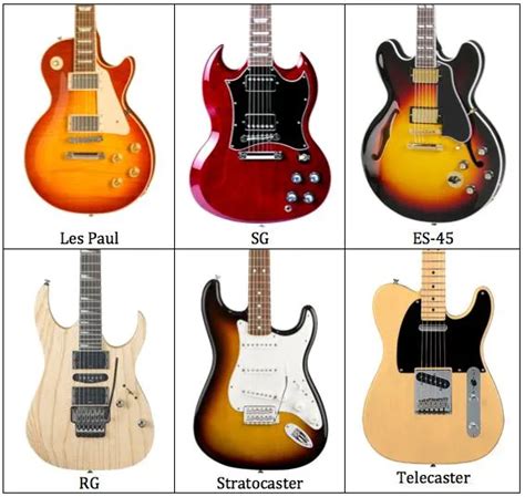 electric guitar types guide Kindle Editon
