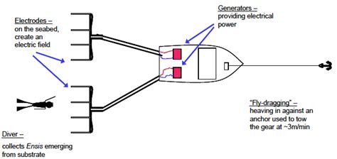 electrical diagram of electrofishing Kindle Editon