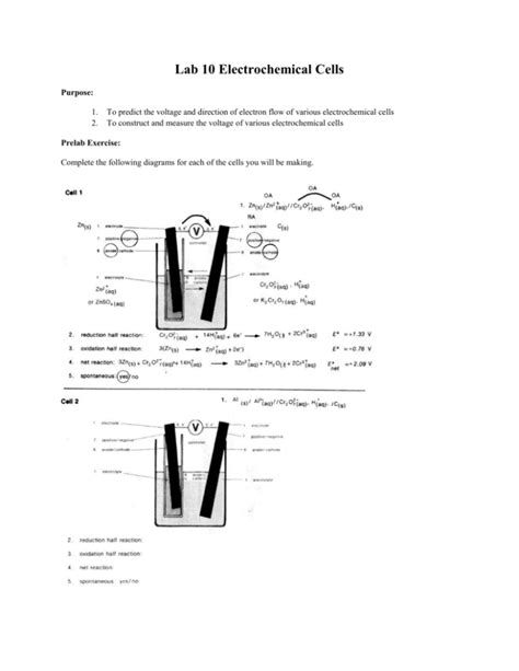 electrochemical cells labpdfchitkowski Reader