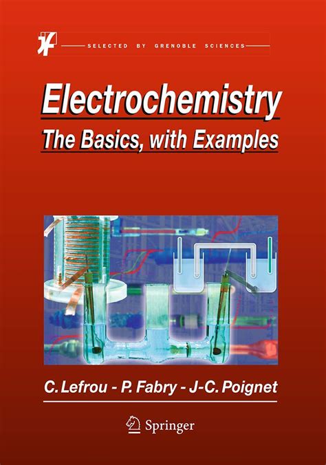 electrochemistry the basics with examples PDF