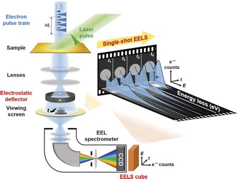 electron energy loss spectroscopy in the electron microscope Epub