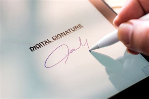electronic signatures in law electronic signatures in law Kindle Editon