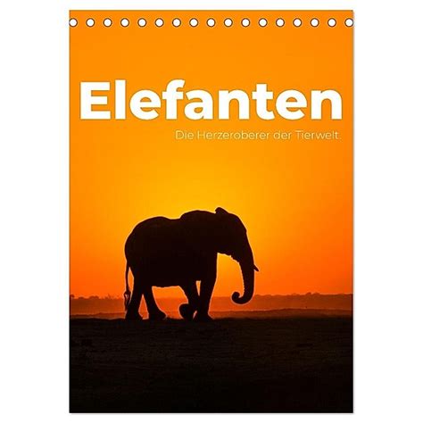 elefanten hautnah tischkalender 2016 hoch Reader