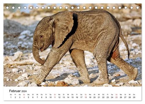 elefanten tischkalender fotografiert nationalparks monatskalender Kindle Editon