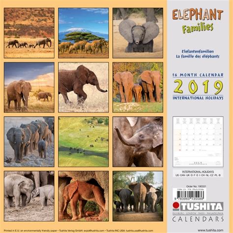 elephant families 2016 kalender wonderful PDF