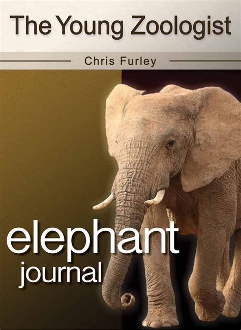 elephant journal the young zoologist book 1 Kindle Editon