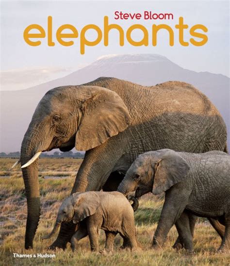 elephants for kids book a childrens book all about elephants Doc