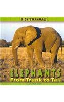 elephants from trunk to tail mighty mammals Epub