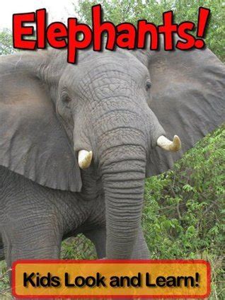 elephants learn about elephants and enjoy colorful pictures look and learn 50 photos of elephants Reader