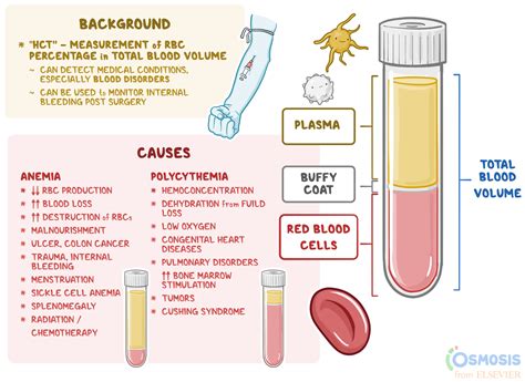 elevated rbc and hematocrit