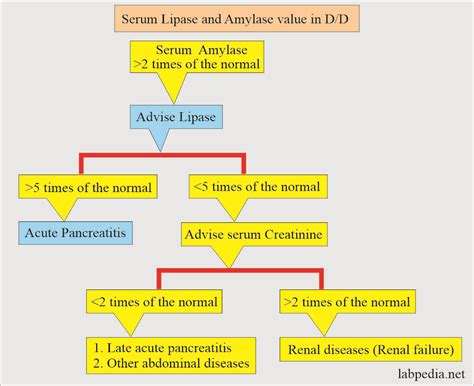 elevated rdw and lipase level Doc