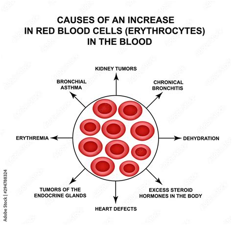 elevated red blood cells causes