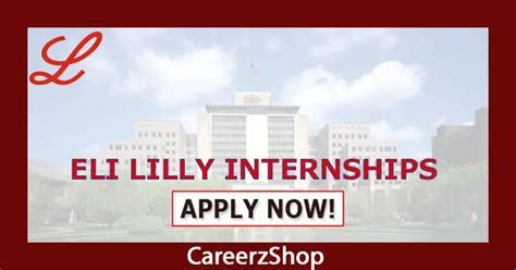 eli lilly summer internship 2024