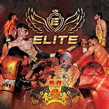 elite fighting championship