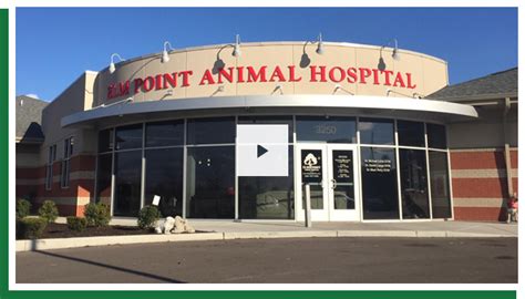 elm point animal hospital