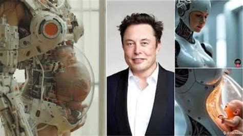 elon musk robot pregnancy