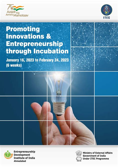 embedded entrepreneurship institutional innovation competition Epub