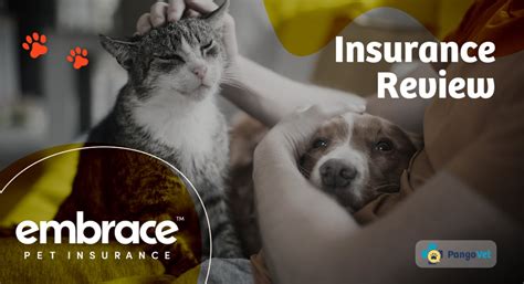 embrace pet insurance