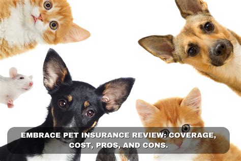 embrace pet insurance coverage