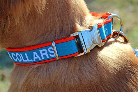 embroidered dog collar