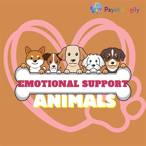 emotional support animal training near me